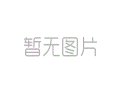前“绿委”分析赖清德致命弱点 断言2024只有侯友